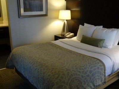 Hotel Sonesta Es Dulles Airport 3*