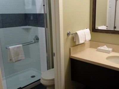 Sonesta Es Dulles Airport 3* Herndon